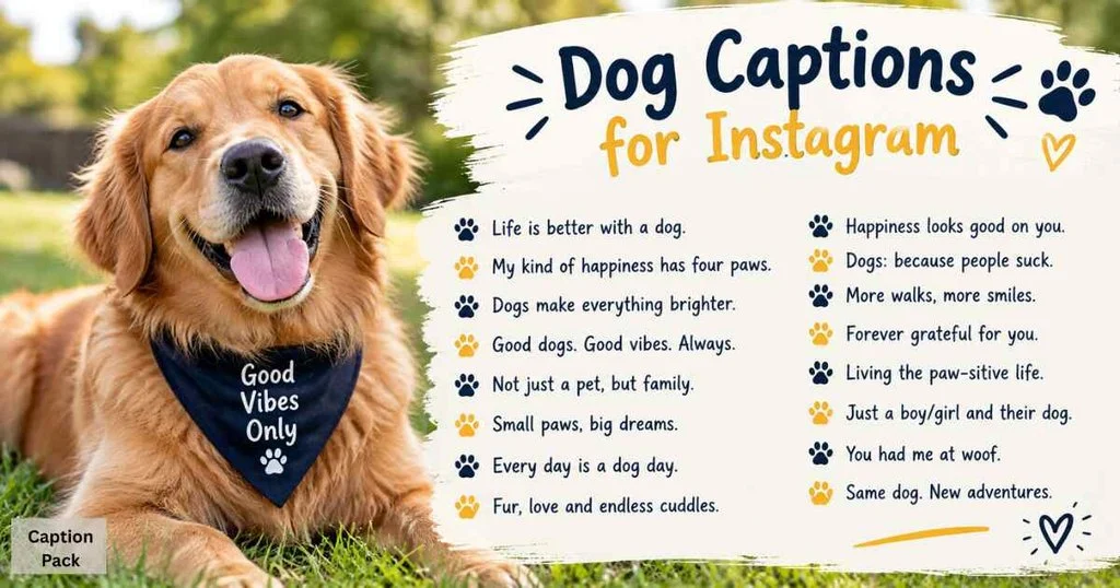 Dog Captions For Instagram